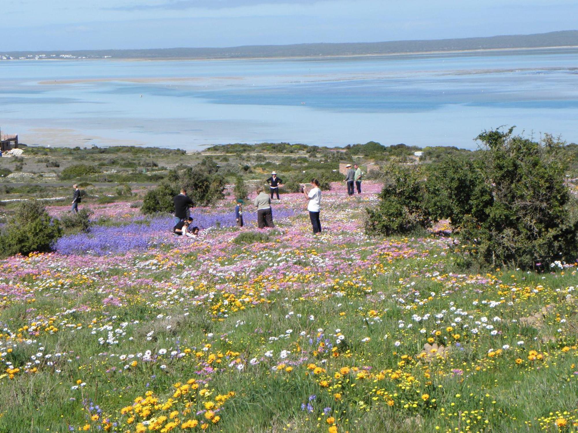 Le Mahi Guest House Langebaan Exteriör bild